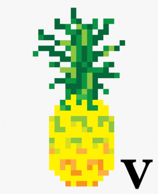 Chapeau d'ananas 8 bits