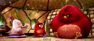 Le film Angry Birds