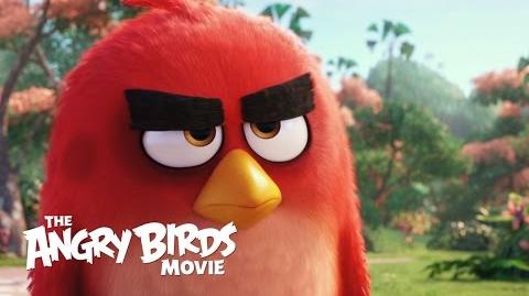 Le film Angry Birds