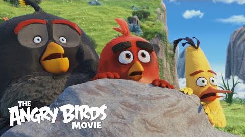 Le film Angry Birds