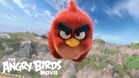 Le film Angry Birds