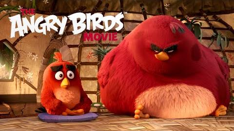 Le film Angry Birds