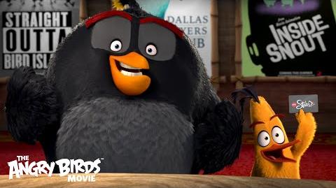 Le film Angry Birds