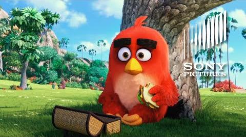 Le film Angry Birds