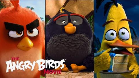 Le film Angry Birds