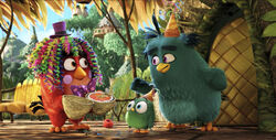 Le film Angry Birds