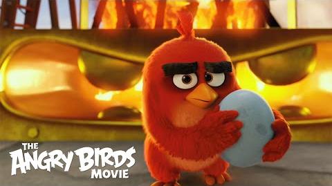 Le film Angry Birds