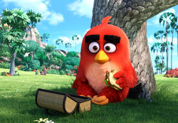 Le film Angry Birds