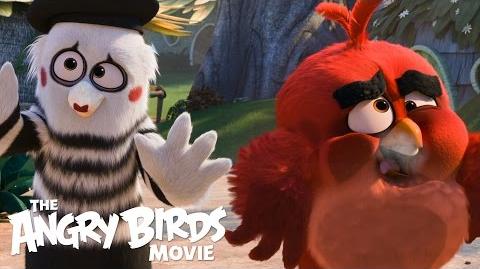 Le film Angry Birds