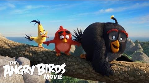 Le film Angry Birds