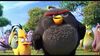 Le film Angry Birds