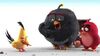 Le film Angry Birds